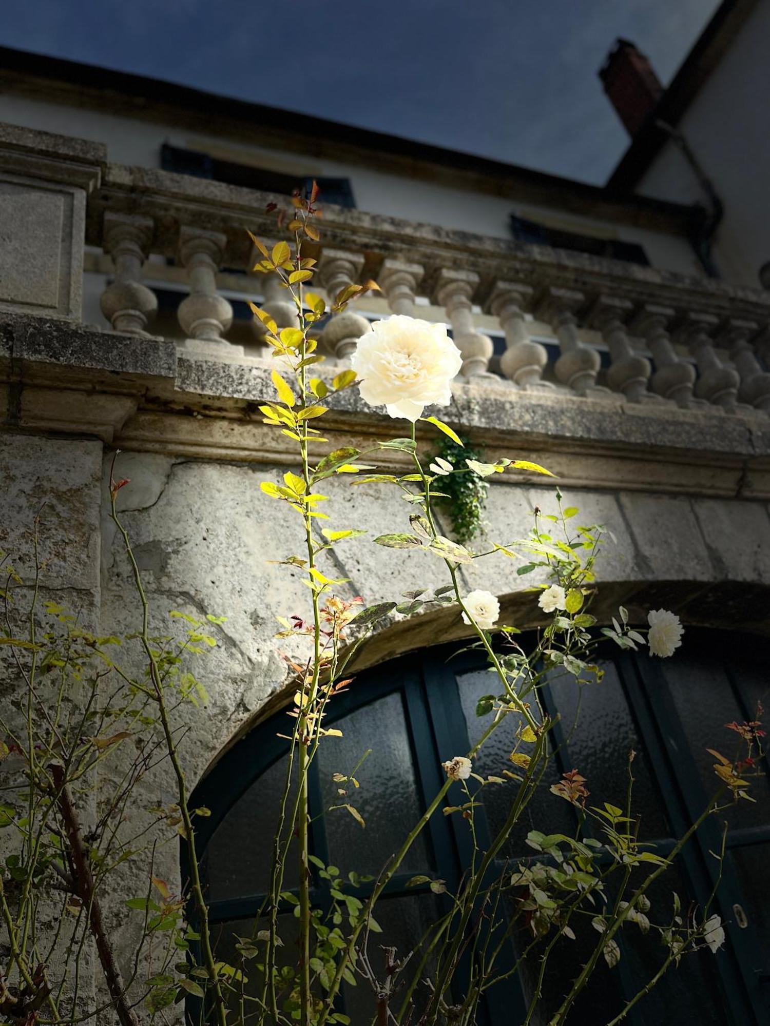 Richard Lequet Domaine Gastronomique Du Val D Atur Hotel Boulazac Isle Manoire Exterior photo
